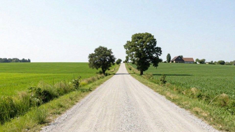 Kto płaci koszty utrzymania drogi służebnej?