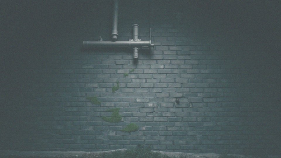 Co to znaczy, że zapadalność na raka płuca rośnie po 40. roku życia?