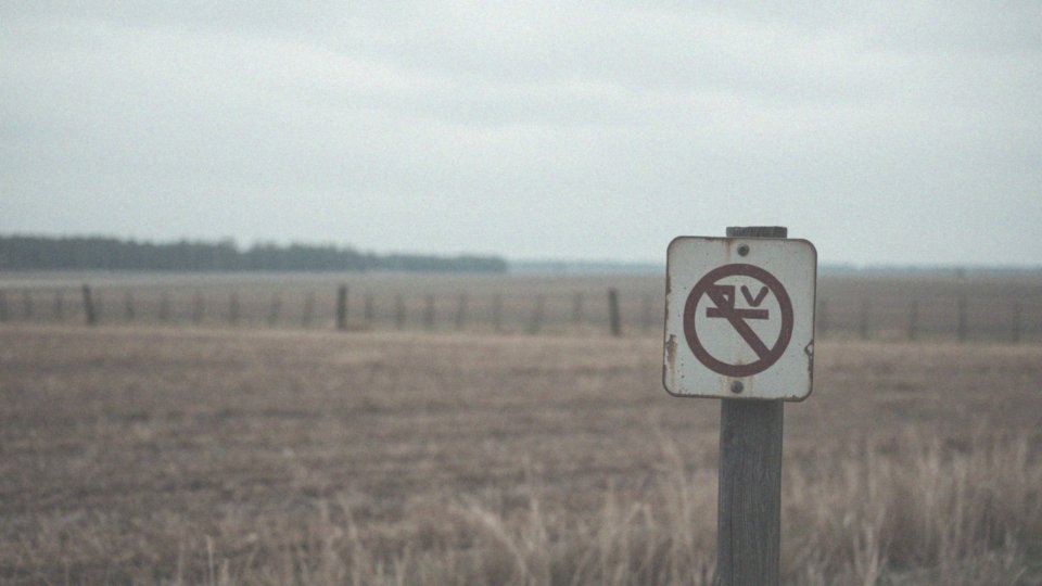 Mobilizacja w razie wojny – wiek i obowiązki obywateli