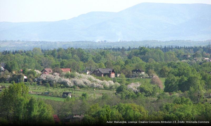 Ruptawa i Cisówka