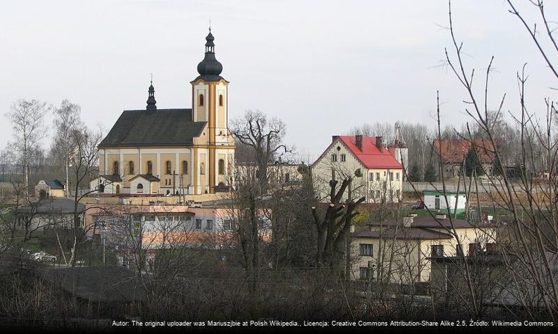 Szeroka (Jastrzębie-Zdrój)