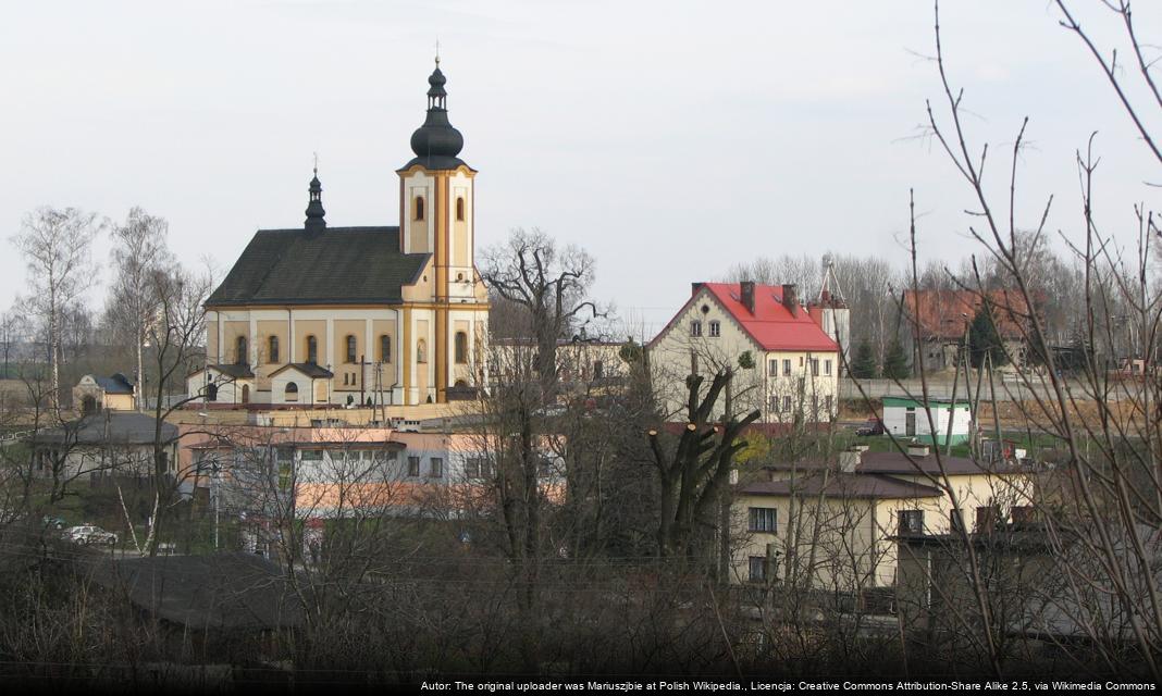 Jak podnieść poziom czystości w Jastrzębiu-Zdroju? Skuteczne metody!