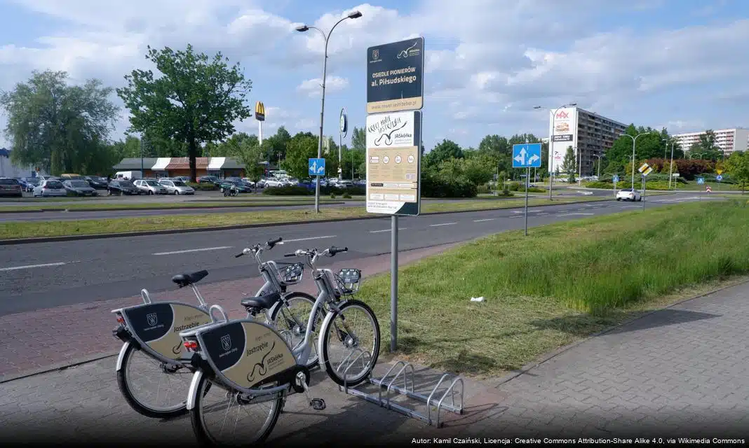 Wolontariusze w Jastrzębiu-Zdroju zorganizują zbiórkę charytatywną dla Wojtka